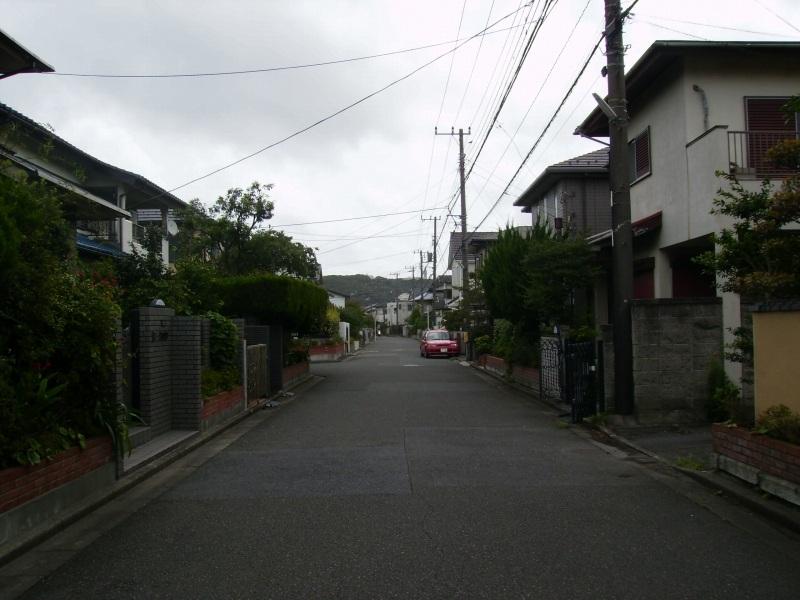 Other. Front road landscape 1