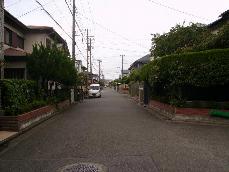 Other. Front road landscape 2