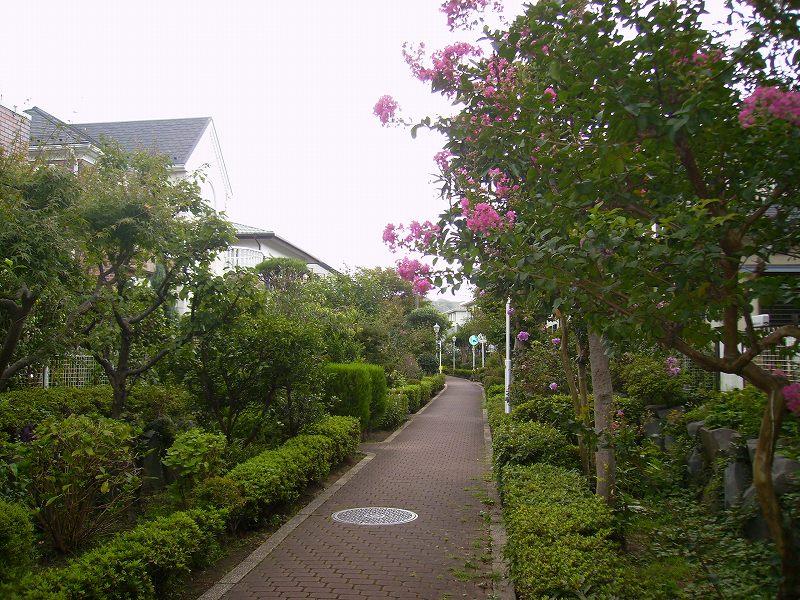 Other. There is a green promenade.