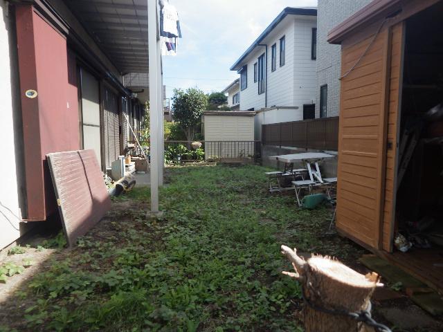 Other local. Site garden appearance