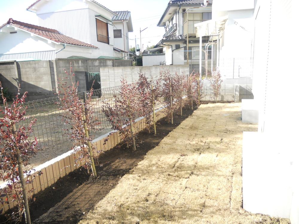 Local appearance photo