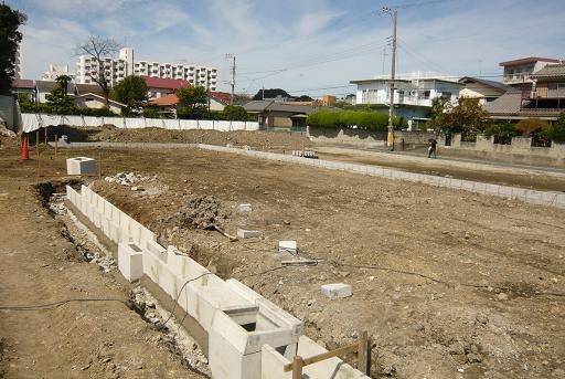 Local land photo. Local (10 May 2013) Shooting  13 compartment