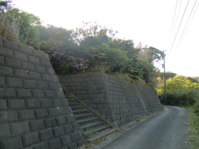 Local photos, including front road. Lush living environment