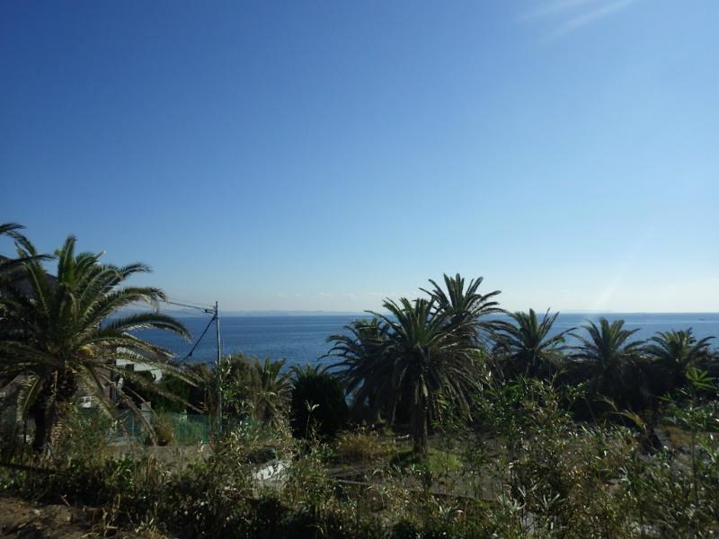 View photos from the local