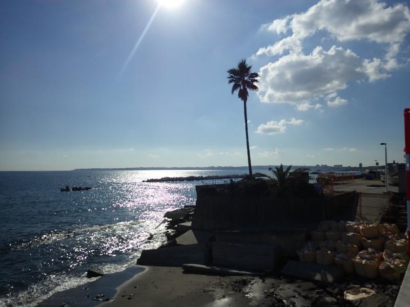 Other local. Miura district is also overlooks