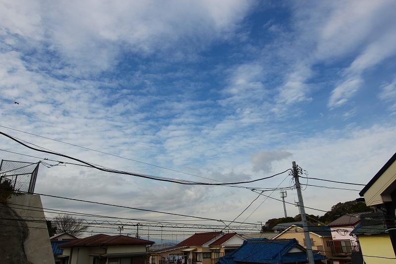 View photos from the dwelling unit. View from the site (December 2013) Shooting
