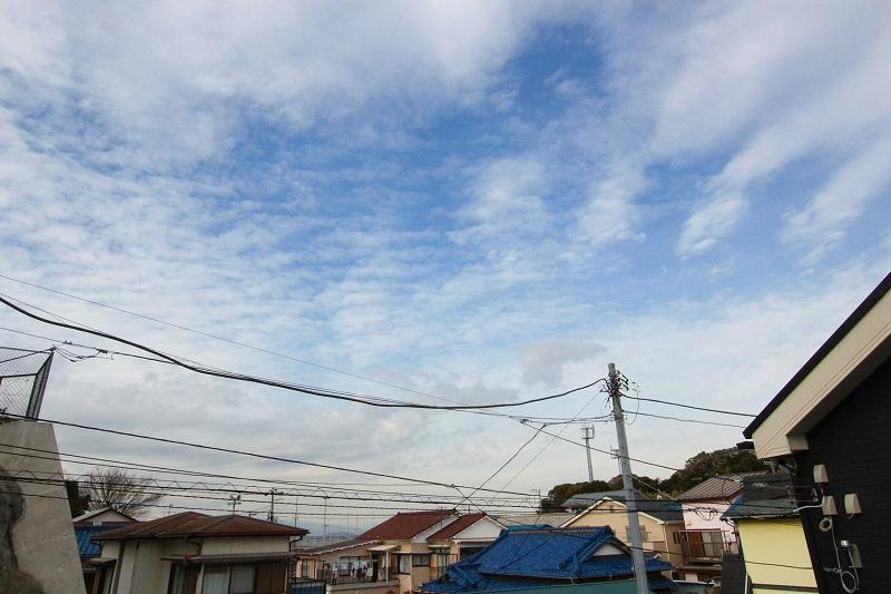 Other. It is the ocean view.