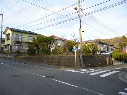 Local land photo. Appearance 1