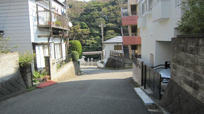 Other. From the front road