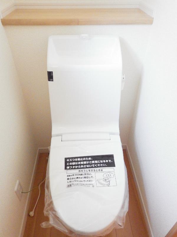 Toilet. Cleaning of the easy one-piece toilet