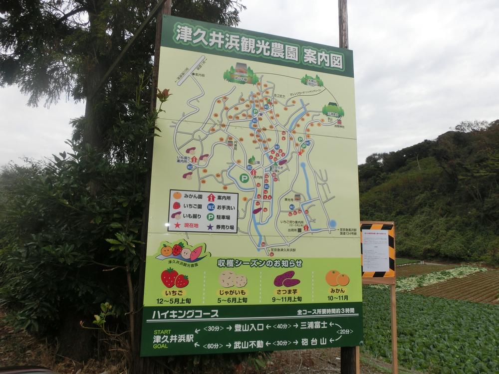 Other. Peripheral photo