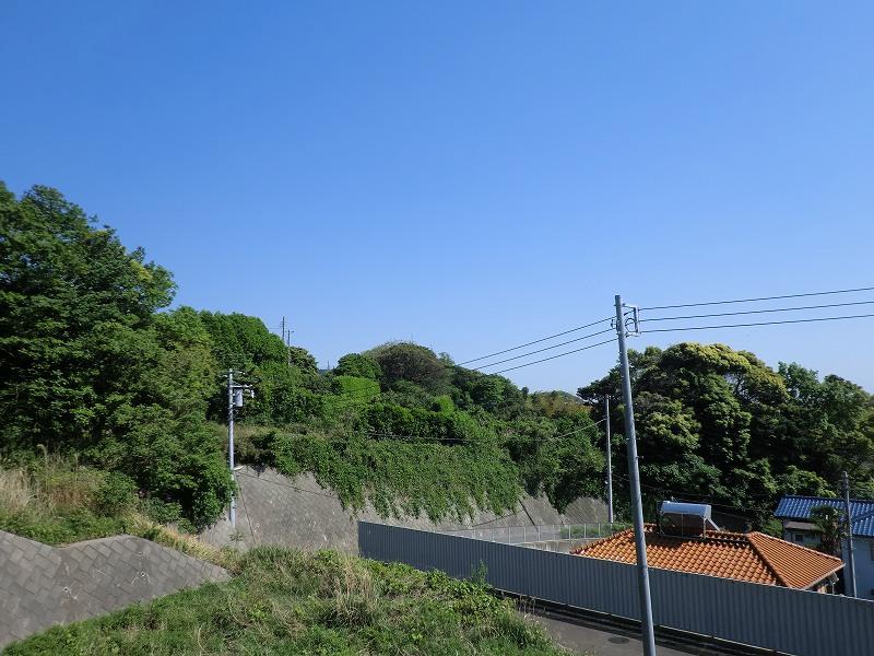 Other. Green is full of land