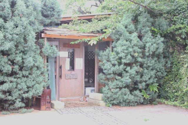 Other Environmental Photo. Kenz staff recommended The False made Mensho (noodle) up to 1800m