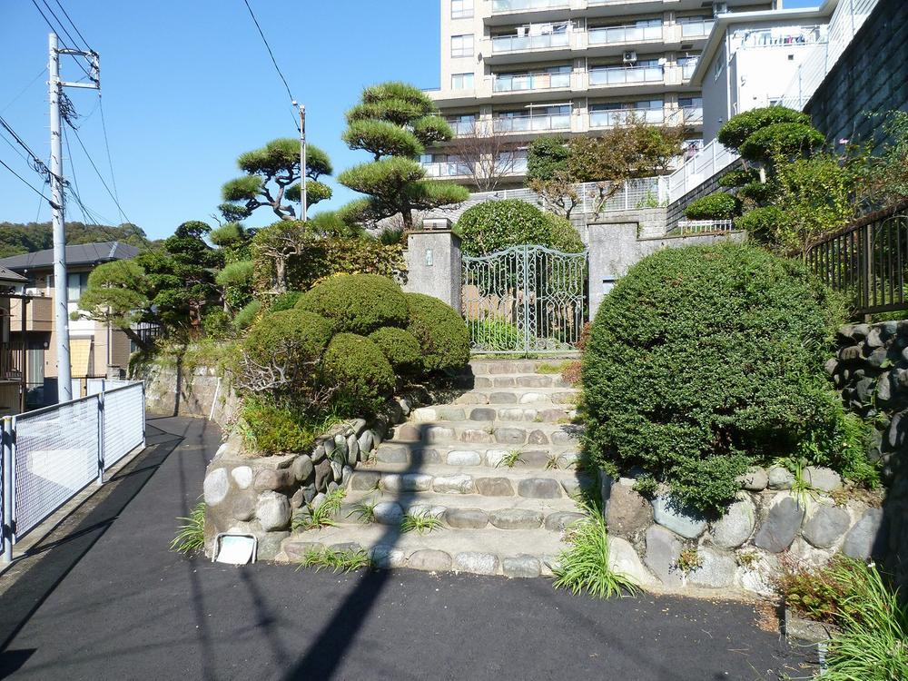 Local land photo. Local appearance 1