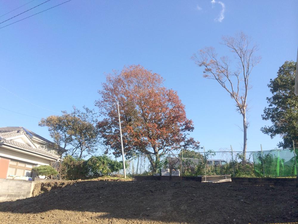 Local land photo. Local shooting