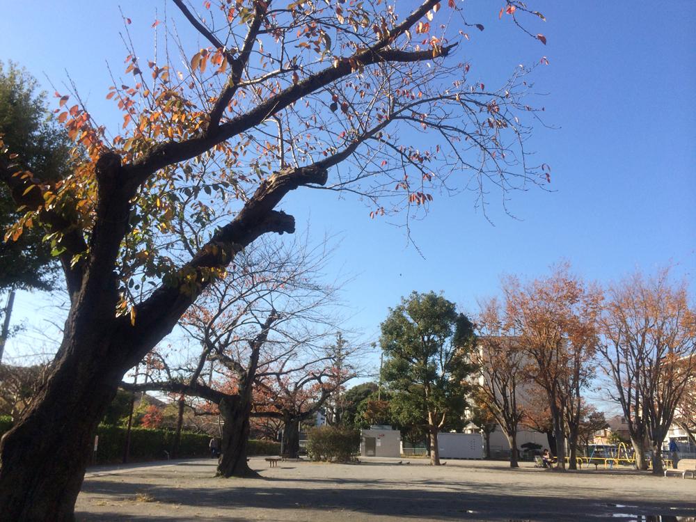 park. 400m until Sakaemachi park