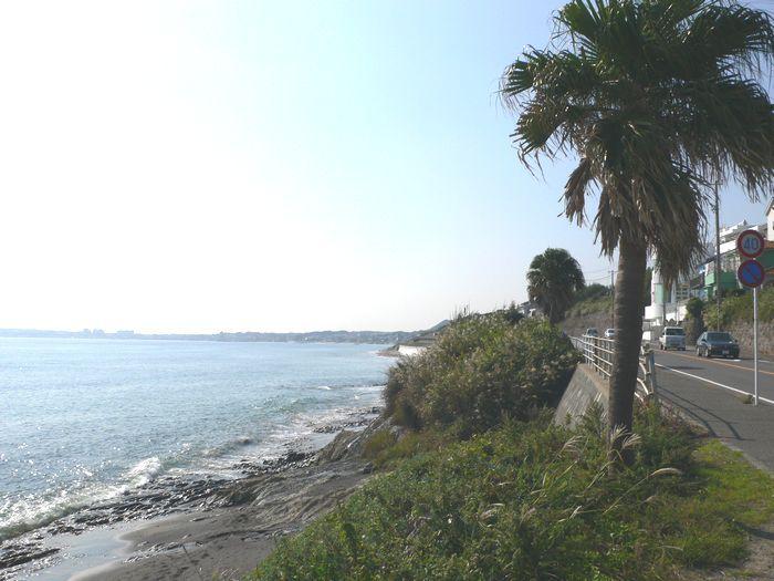 Other Environmental Photo. Nobi is ideal for a walk the course of the holiday 360m to the coast.