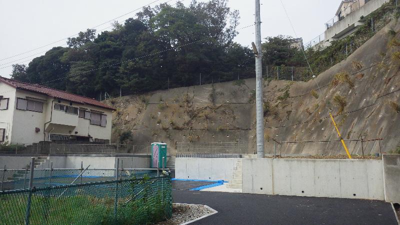 Local photos, including front road