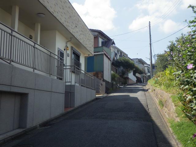 Other local. Northwest side of the road