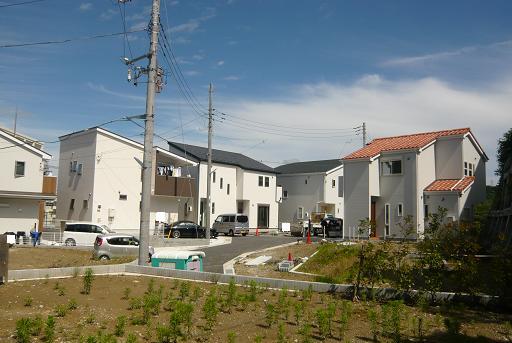 Local photos, including front road. Local (10 May 2013) Shooting