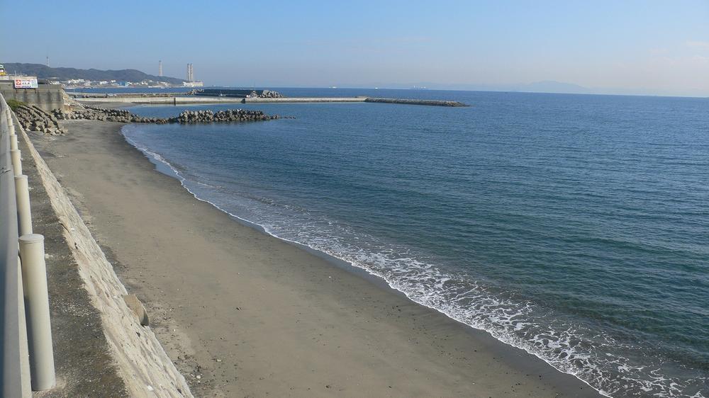 Other. About 15m north Shimoura coast than local (12 May 2013) Shooting