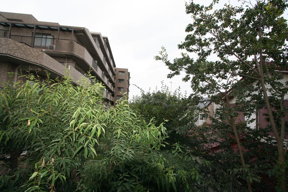 View photos from the dwelling unit. View from the site (October 2013) Shooting