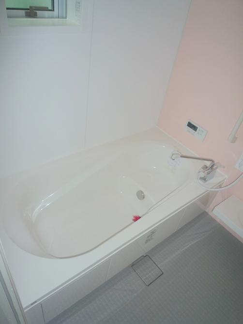 Bathroom. Indoor (10 May 2013) Shooting