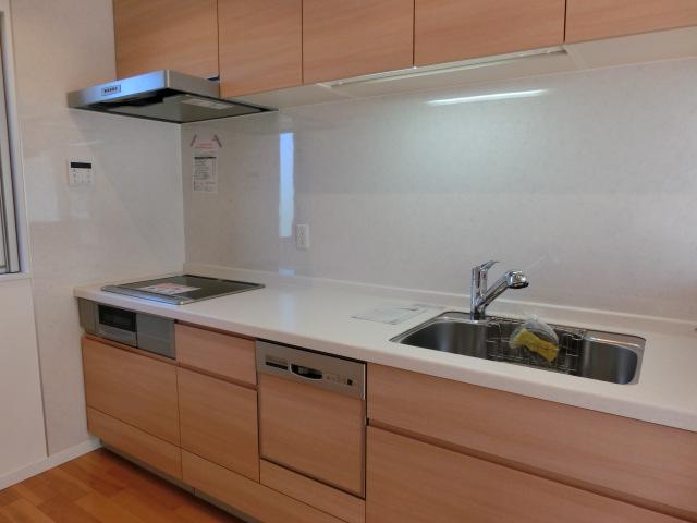 Kitchen. Indoor (12 May 2013) Shooting