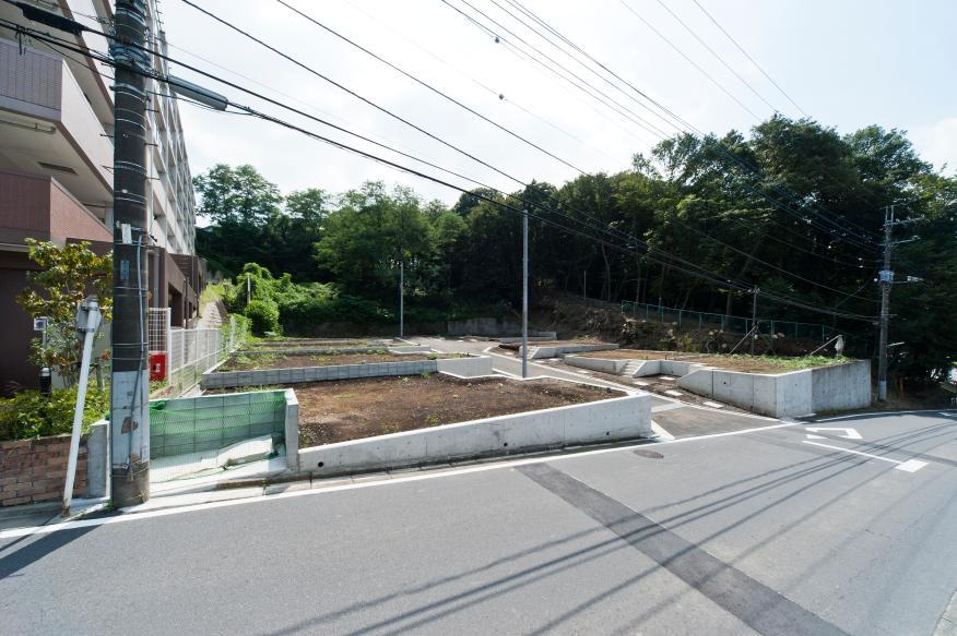 Local appearance photo. All 10 development subdivision of compartment