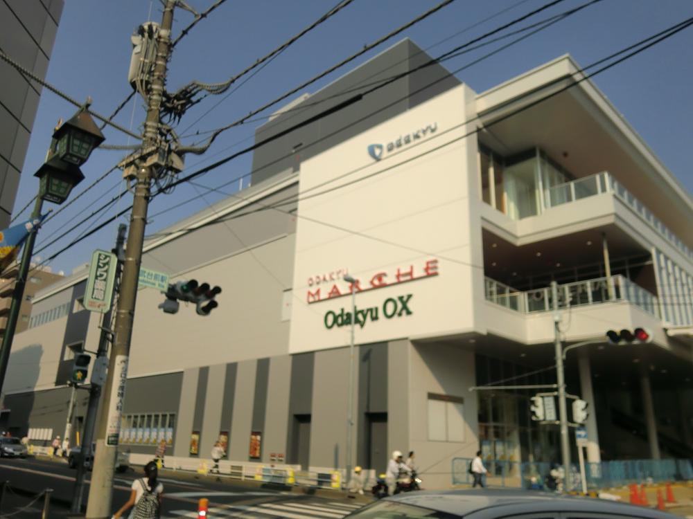 Other. Odakyu Marche 2013.7.3 open