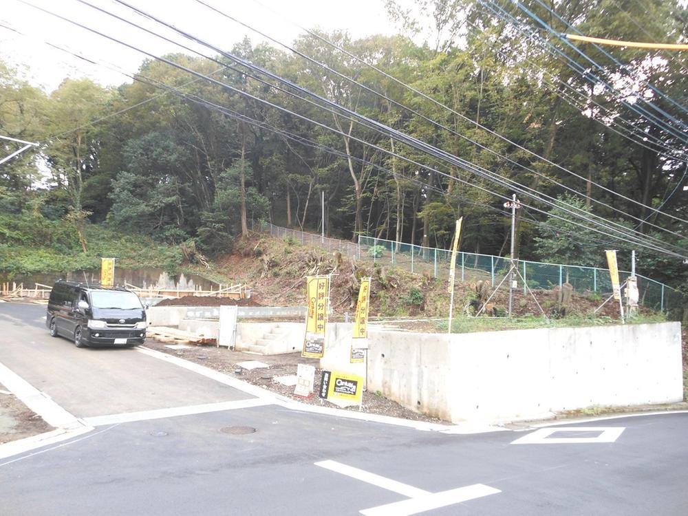 Local photos, including front road. Local (11 May 2013) Shooting