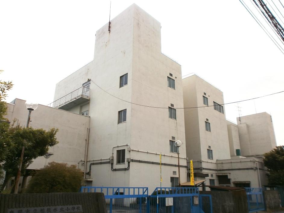 Junior high school. Zama City 1264m to stand Sagami junior high school