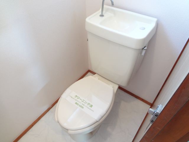 Toilet. It is hand-wash with a toilet.
