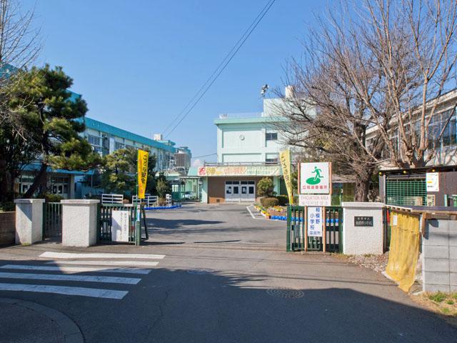 Other local. Zama Municipal Sagamino elementary school Distance 1140m