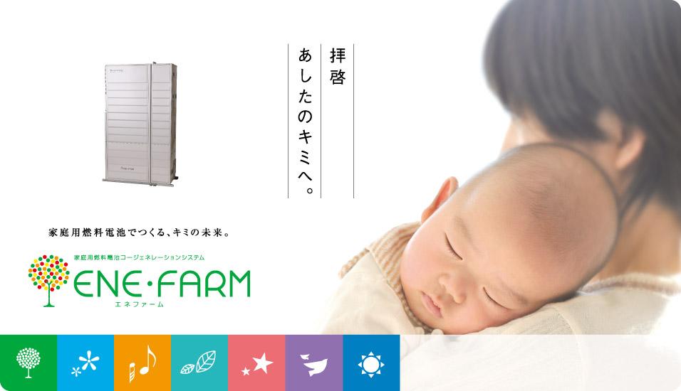 Other. ENE-FARM standard equipment