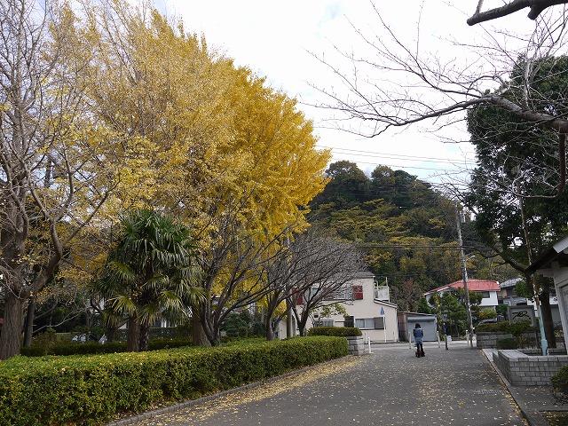 park. Until the first Sports Park 600m