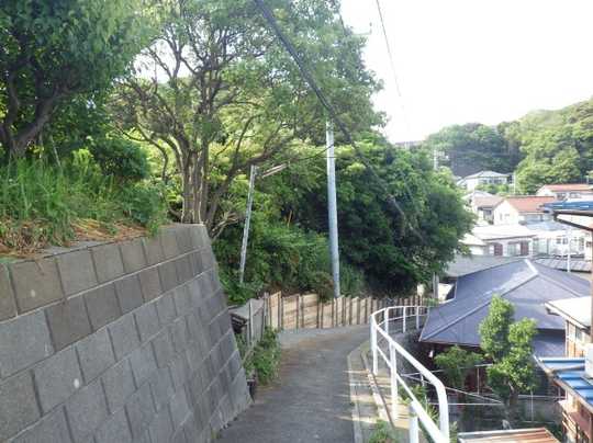 Local land photo. Local Photos (1)