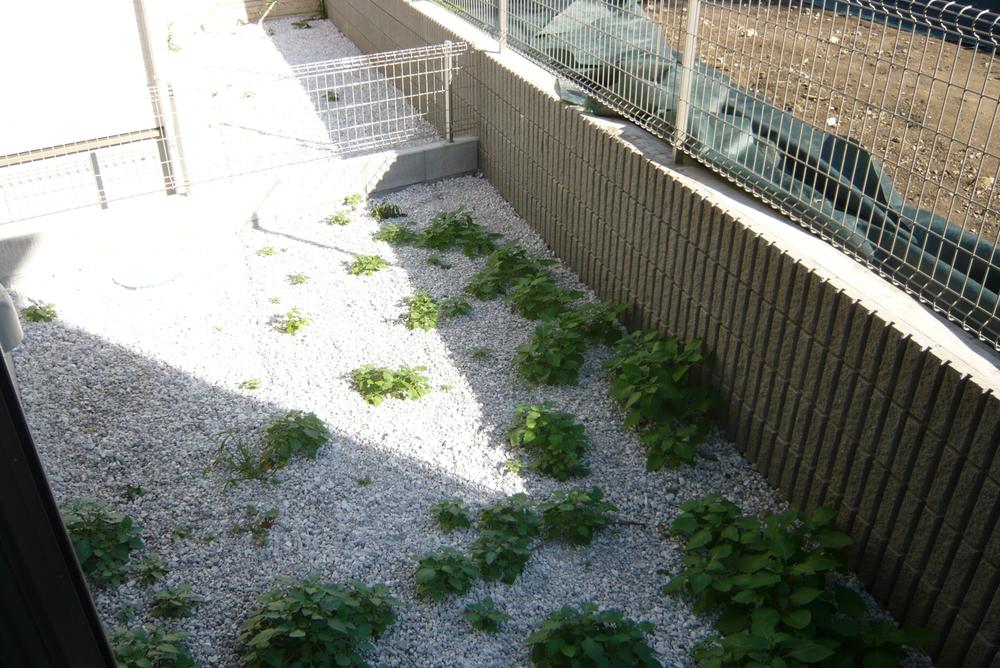 Garden. 1 Building site (October 2013) Shooting