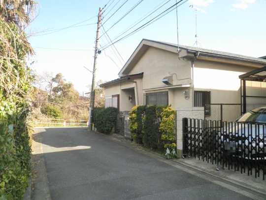 Local land photo. Appearance (1)