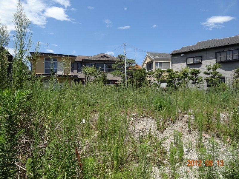 Local land photo. Local Photos (2).