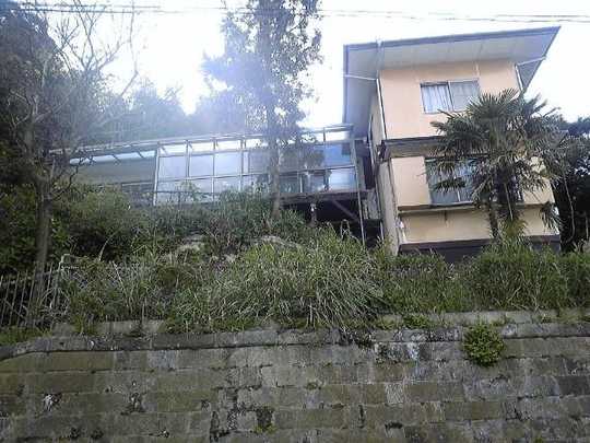 Local land photo. Appearance (1)