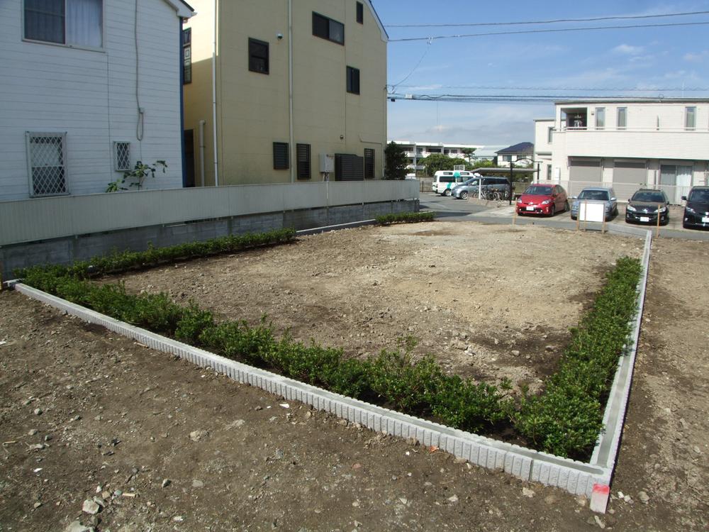 Local land photo. A compartment (10 May 2013) Shooting