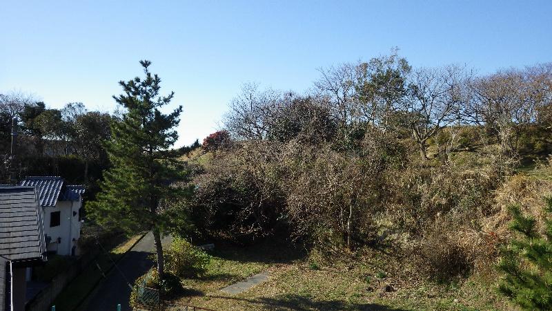 View photos from the local. It is a view from the south side second floor.