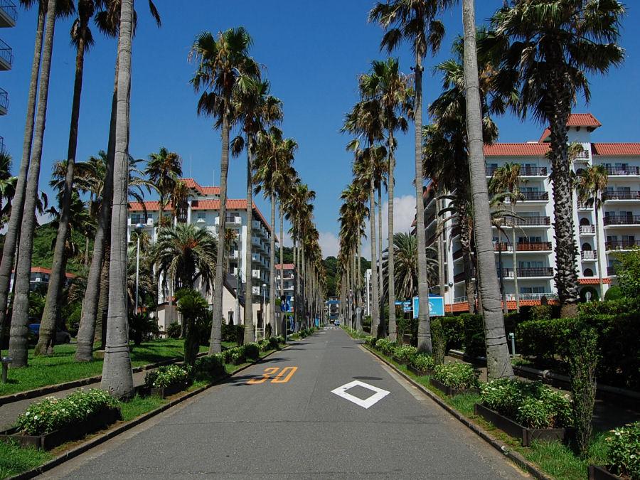 Other Environmental Photo. Zushi until Marina 950m