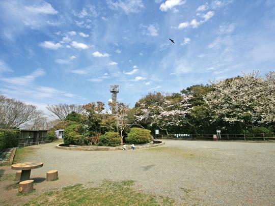 park. 480m up to show off the mountain park