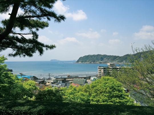 Other Environmental Photo. 1500m to the view from the local museum