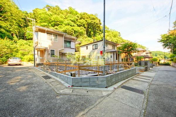 Local photos, including front road