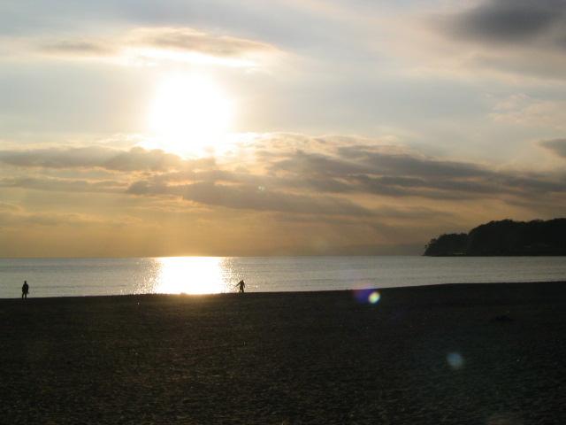 Other Environmental Photo. Zaimokuza to the coast 1700m