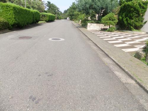 Other local. Frontal road