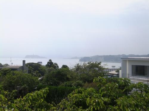 View photos from the local. View from local